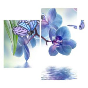 Slika leptira na cvjetovima orhideja (90x60 cm)