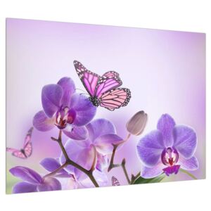 Slika leptira na cvjetovima orhideja (70x50 cm)