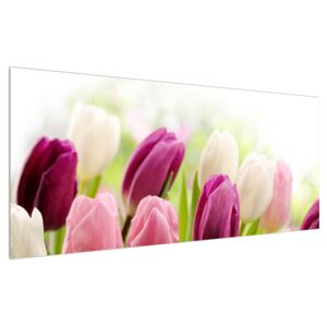 Slika pupajućih tulipana (120x50 cm)