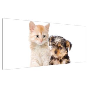 Slika - mačić i štene (120x50 cm)