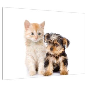 Slika - mačić i štene (70x50 cm)