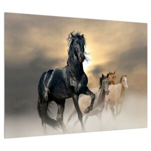 Slika konja (70x50 cm)