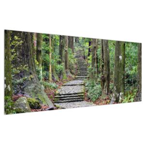 Slika kamenih stepenica u šumi (120x50 cm)