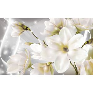 Foto tapeta - Cvijeće (254x184 cm)