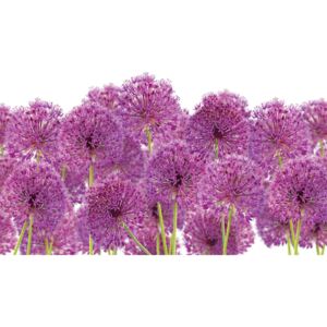 Foto tapeta - Cvijet češnjaka (254x184 cm)