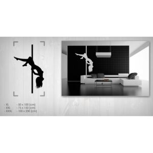 Zidne naljepnice POLE DANCE 50x100 cm NAUT001/24h - crna boja ()