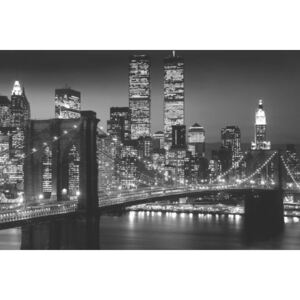 Manhattan - night Poster, (91,5 x 61 cm)