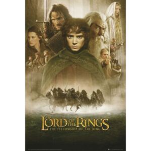 LORD OF THE RINGS - fellowship Poster, (61 x 91,5 cm)