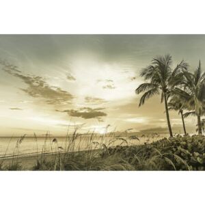 Umjetnička fotografija BONITA BEACH Sunset | Vintage, Melanie Viola