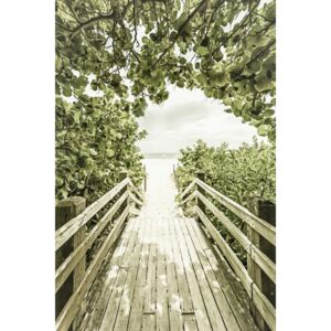 Umjetnička fotografija Bridge to the beach with mangroves | Vintage, Melanie Viola