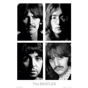 The Beatles - White album Poster, (61 x 91,5 cm)