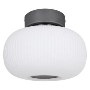 Globo 15437D - LED Stropna svjetiljka BOOMER LED/12W/230V