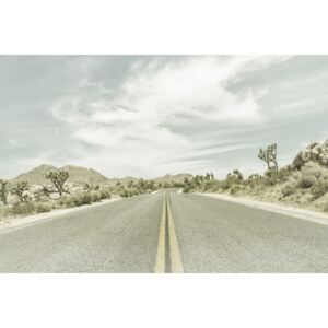 Umjetnička fotografija Country Road with Joshua Trees, Melanie Viola