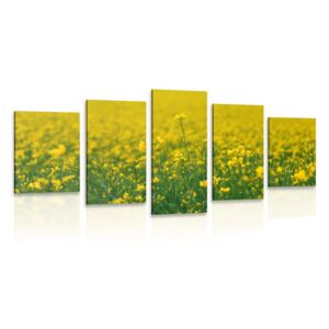 5-dijelna slika žuto polje