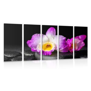 5-dijelna slika ljubičasta orhideja na Zen kamenju