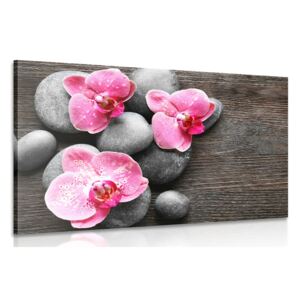 Obraz elegantná kompozícia s kvetmi orchidei