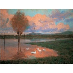 Floodplain - Flooded Land Reprodukcija umjetnosti, Alberto Zardo, (80 x 60 cm)
