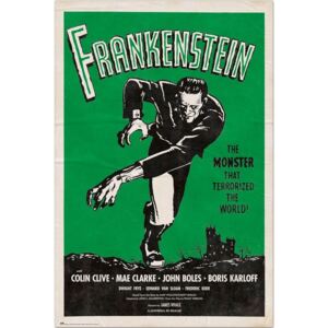 Poster Frankenstein, (61 x 91.5 cm)