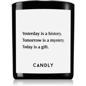 Candly & Co. Yesterday is a history mirisna svijeća 250 g