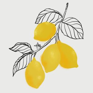 Ilustracija Lamya lemons, Blursbyai