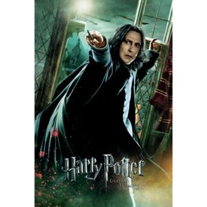Poster Harry Potter - Darovi smrti