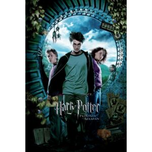 Harry Potter - Zatočenik Azkabana, (85 x 128 cm)