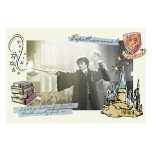Poster Harry Potter - Expelliarmus