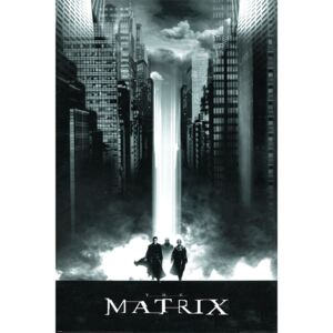 Poster The Matrix - Lightfall, (61 x 91.5 cm)