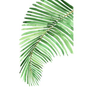 Ilustracija Watercolor palm leaf, Blursbyai