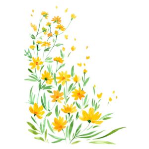 Ilustracija Yellow watercolor wildflowers, Blursbyai