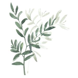 Ilustracija Watercolor laurel branch, Blursbyai