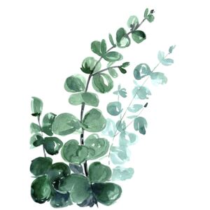Ilustracija Watercolor eucalyptus bouquet, Blursbyai