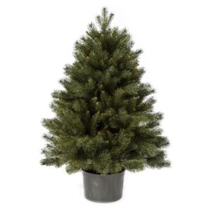 Božićno drvce 3D Mini Bor u saksiji 100cm