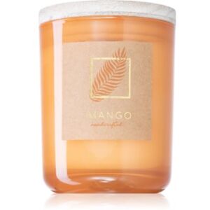 DW Home Tropic Mango mirisna svijeća 108 g