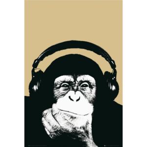 Steez - monkey Poster, (61 x 91,5 cm)