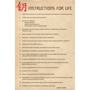 Instructions for live Poster, (61 x 91,5 cm)