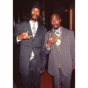 Snoop Dogg & Tupac - Suits Poster, (59,4 x 84,1 cm)