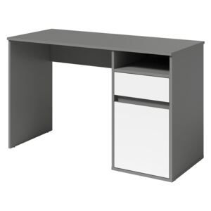 Billa radni stol 120x53x76 cm sivo/bijeli