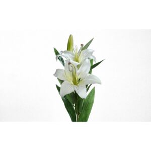 Cvijet Ljiljan 78cm