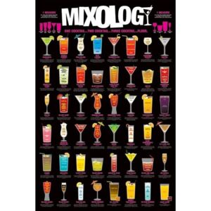 Mixology Poster, (61 x 91,5 cm)