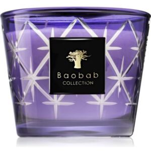 Baobab Borgia Rodrigo mirisna svijeća 10 cm