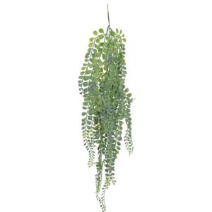 Viseća biljka 80cm više vrsta