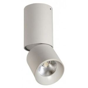 LED Reflektorska svjetiljka NIXA LED/10W/230V bijela