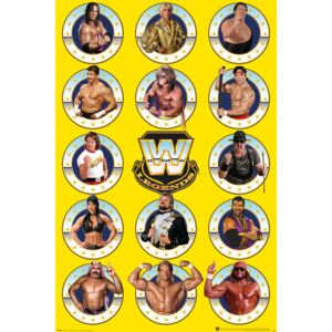 WWE - Legends Chrome Poster, (61 x 91,5 cm)