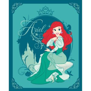 Flis deka Princesses - Disney