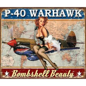 Metalni znak P-40 Warhawk, ( x cm)