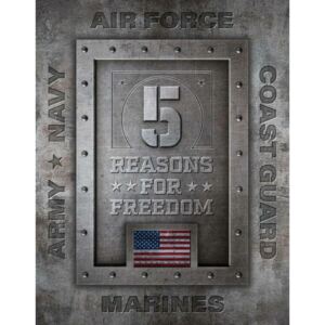 Metalni znak 5 Reasons for Freedom, ( x cm)
