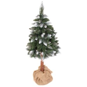 Božićno drvce PIN 180 cm bor