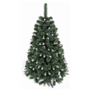 Božićno drvce NORY 250 cm bor