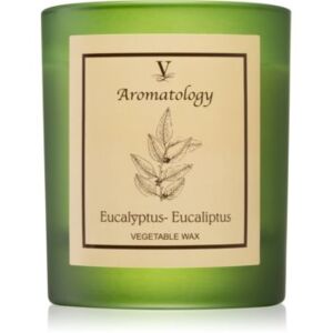 Vila Hermanos Aromatology Eucalyptus mirisna svijeća 200 g
